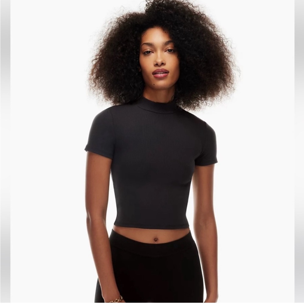 Aritzia Babaton Ribbed Mock Neck in Black.